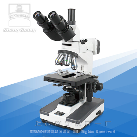 ���ý����@΢�R6XD-3